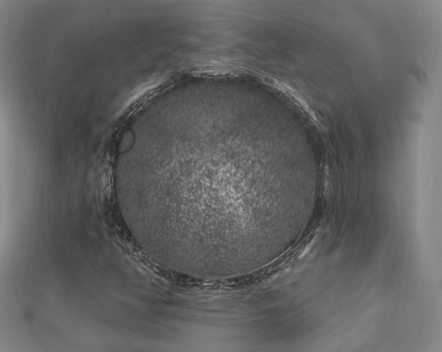 X0000112891350200908211445