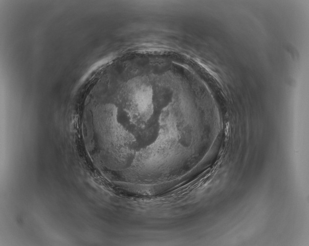 X0000112891351200908211445