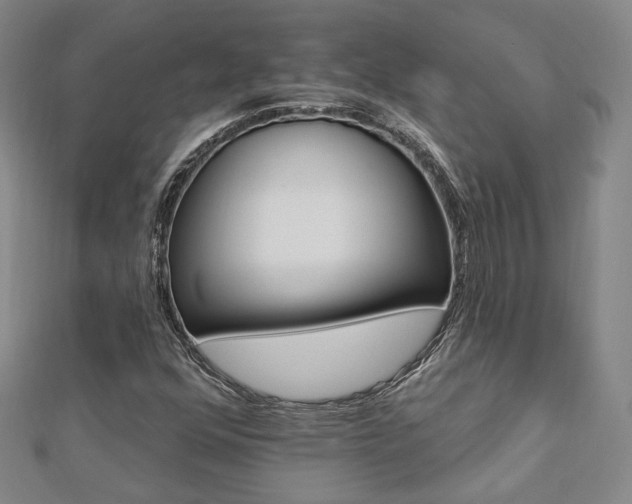 X0000112891352200908211445