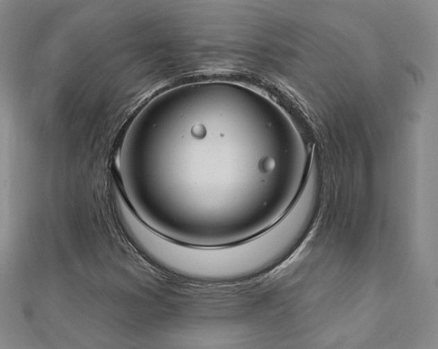 X0000112891353200908211445