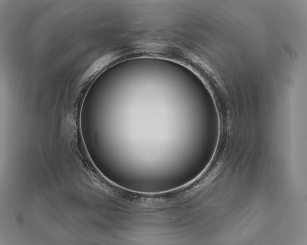 X0000112891354200908211445
