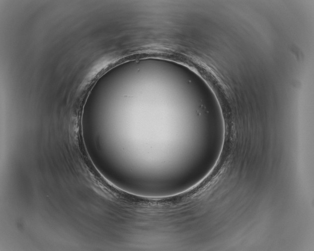 X0000112891355200908211445