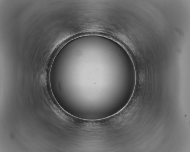 X0000112891356200908211445