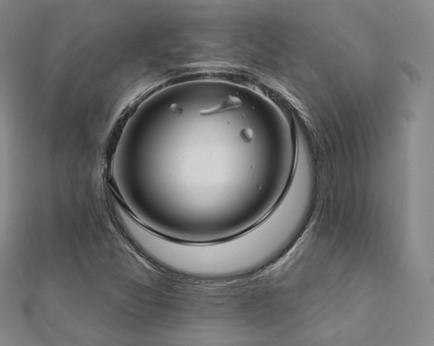 X0000112891357200908211445