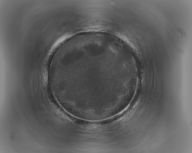 X0000112891358200908211445