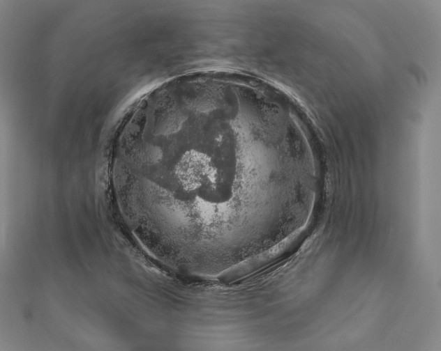 X0000112891359200908211445