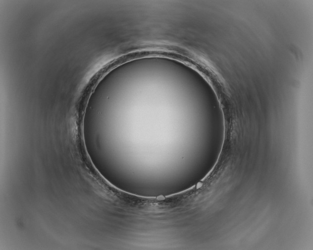 X0000112891360200908211445