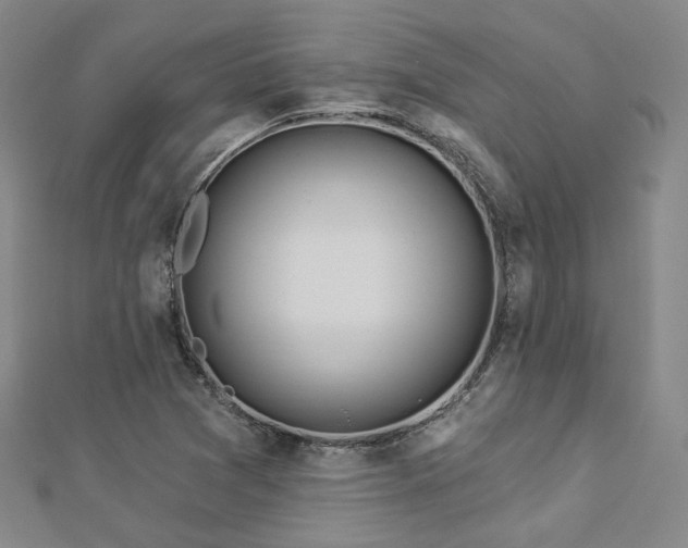 X0000112891361200908211445