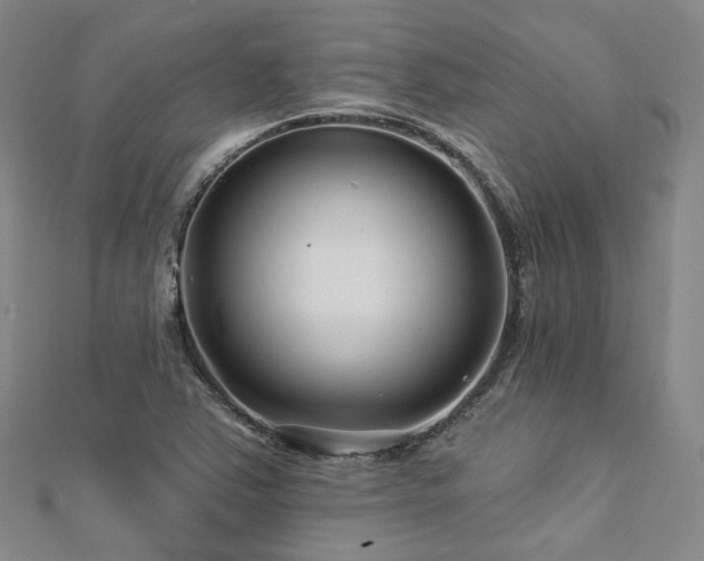 X0000112891363200908211445