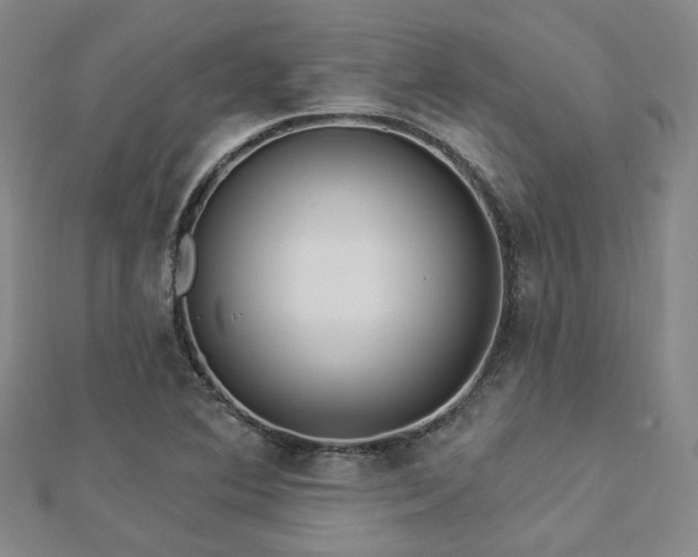 X0000112891364200908211445