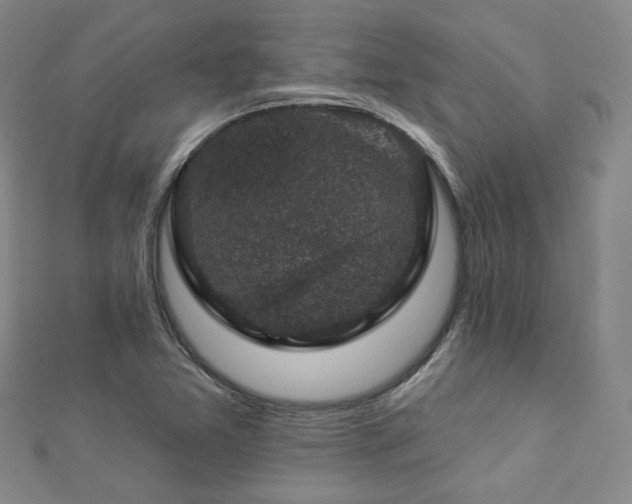 X0000112891365200908211445