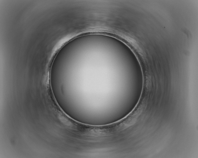 X0000112891366200908211445