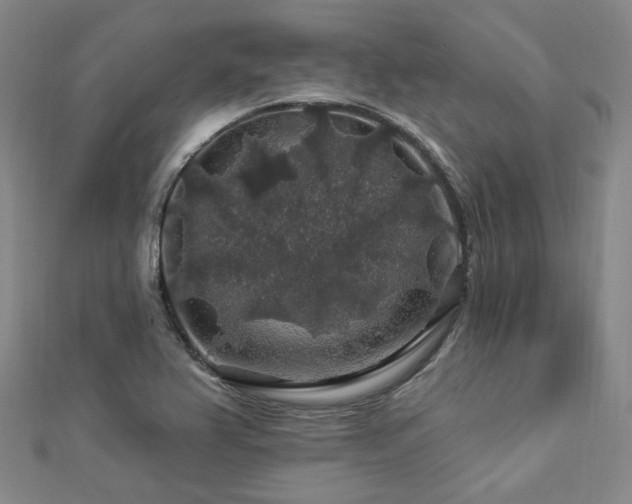 X0000112891367200908211445