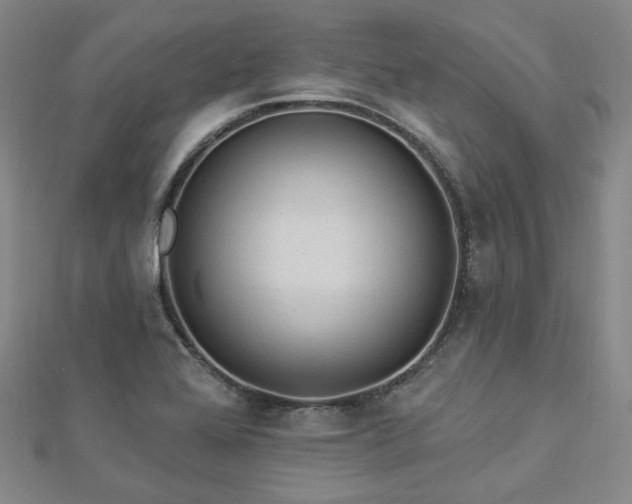 X0000112891368200908211445