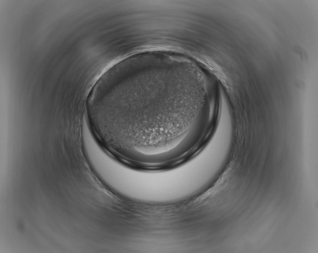X0000112891369200908211444