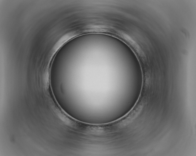 X0000112891370200908211444