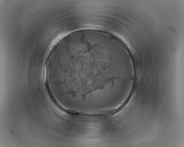 X0000112891371200908211444