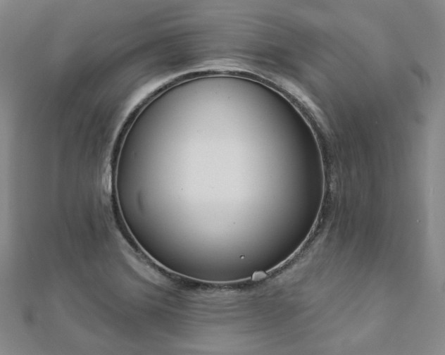 X0000112891372200908211444