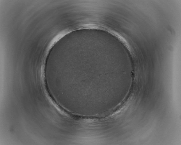 X0000112891373200908211444
