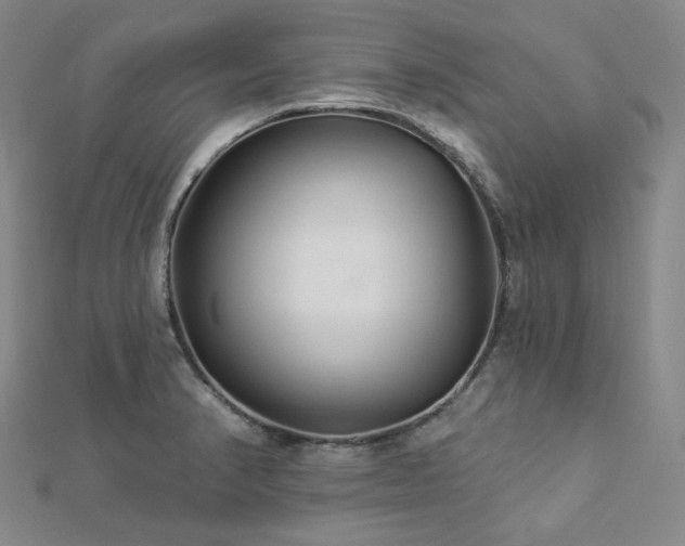 X0000112891374200908211444