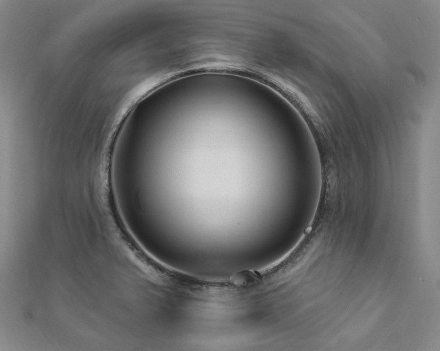 X0000112891375200908211444