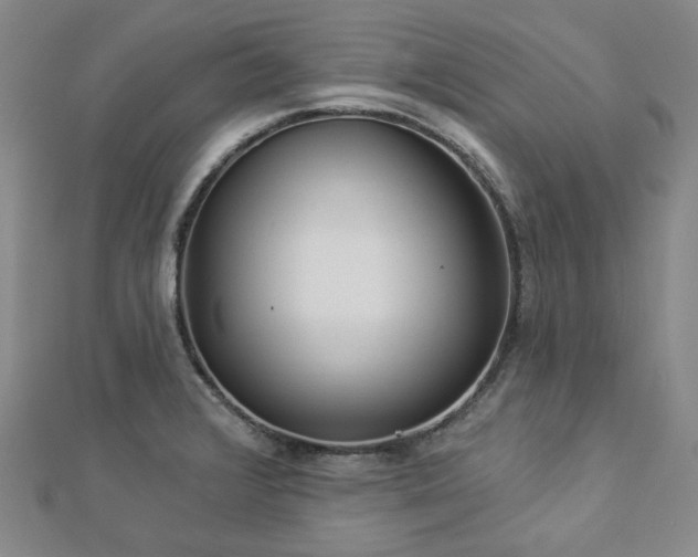 X0000112891376200908211444
