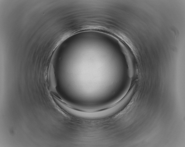 X0000112891377200908211444