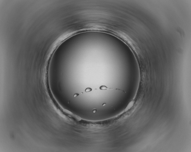 X0000112891379200908211444
