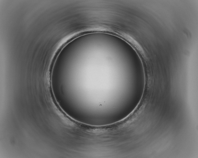 X0000112891380200908211444