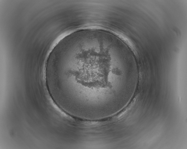X0000112891382200908211444
