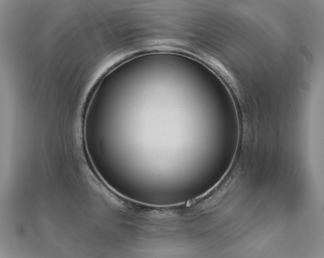 X0000112891384200908211444