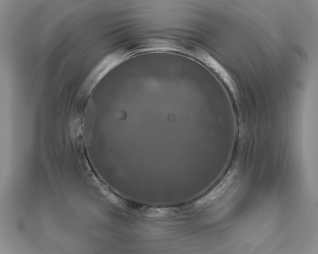 X0000112891385200908211444