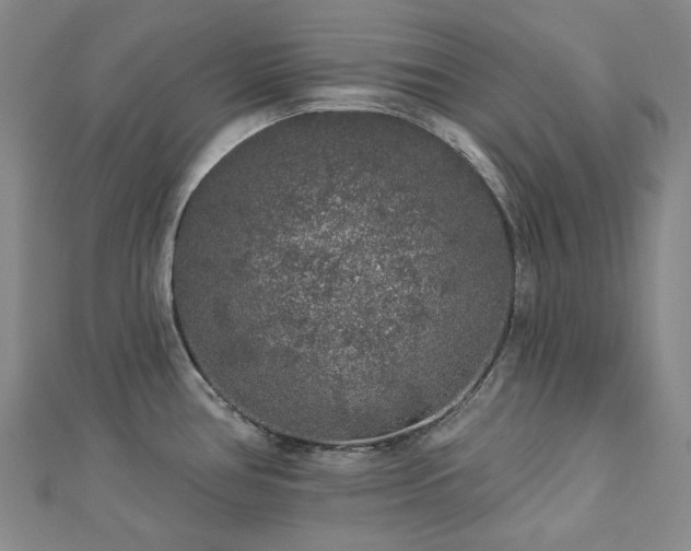 X0000112891386200908211444