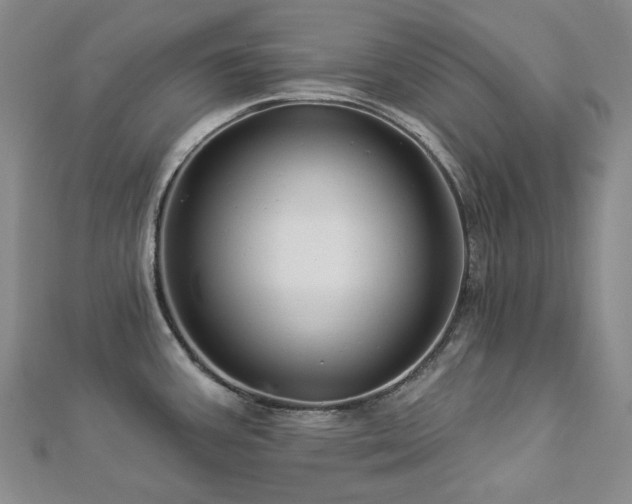 X0000112891387200908211444