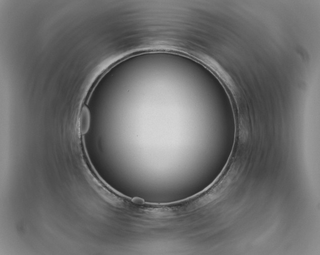 X0000112891388200908211444