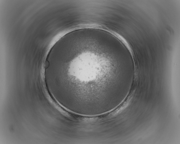X0000112891389200908211444