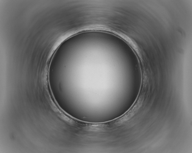 X0000112891390200908211444