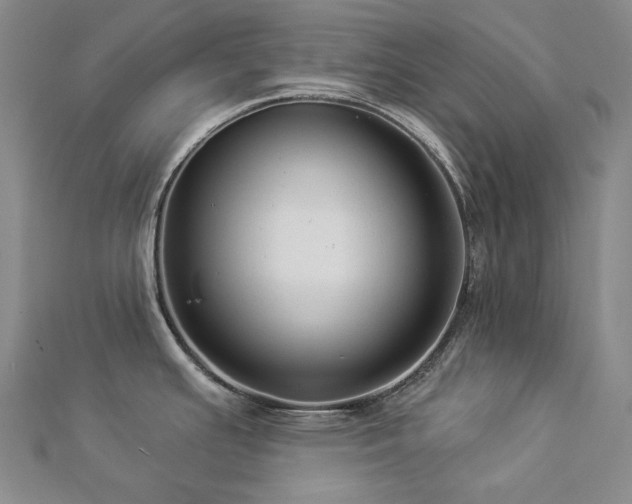 X0000112891391200908211444