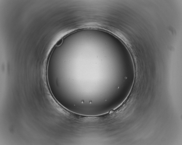 X0000112891392200908211444