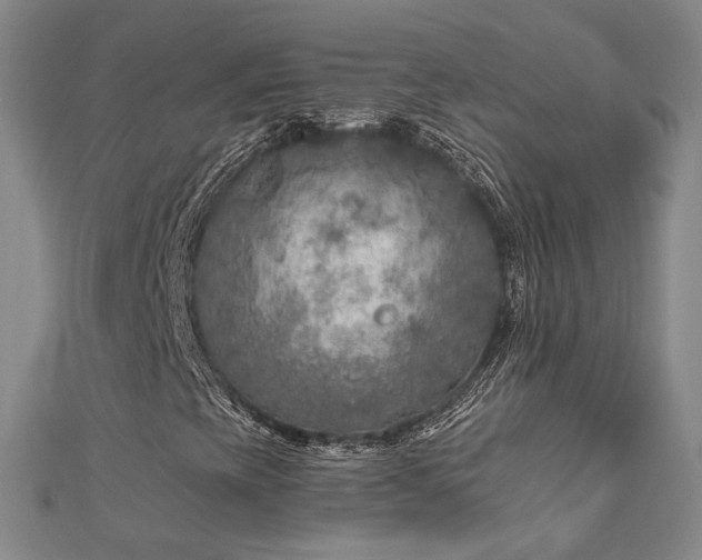 X0000112891393200908211443