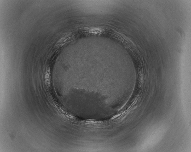 X0000112891394200908211443