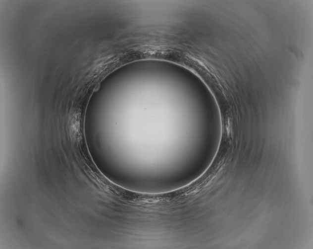 X0000112891396200908211443