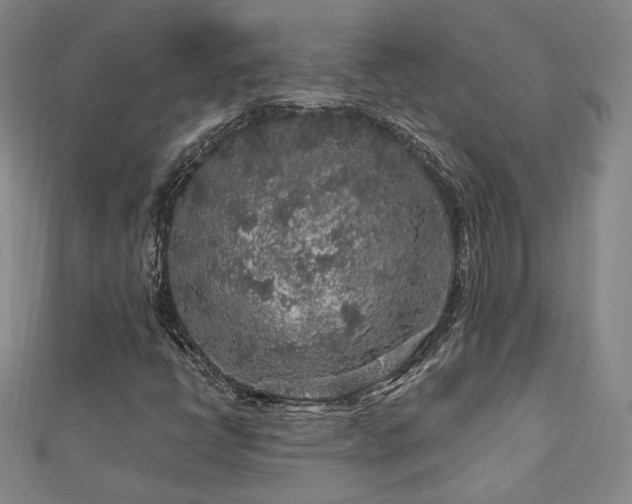 X0000112891398200908211443