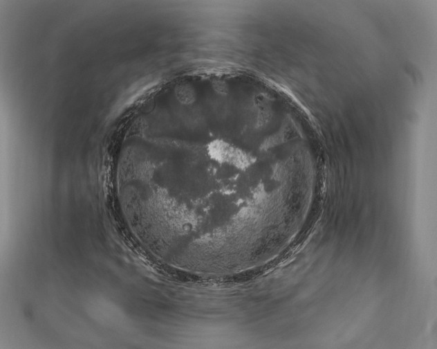 X0000112891399200908211443