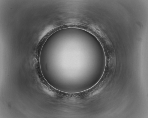 X0000112891400200908211444