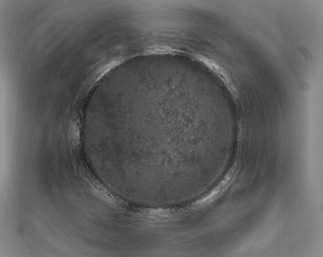 X0000112891401200908211444