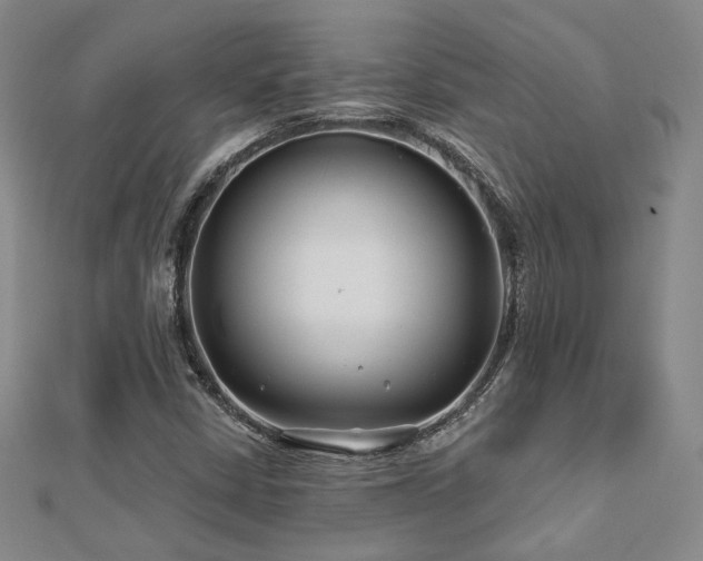 X0000112891402200908211444
