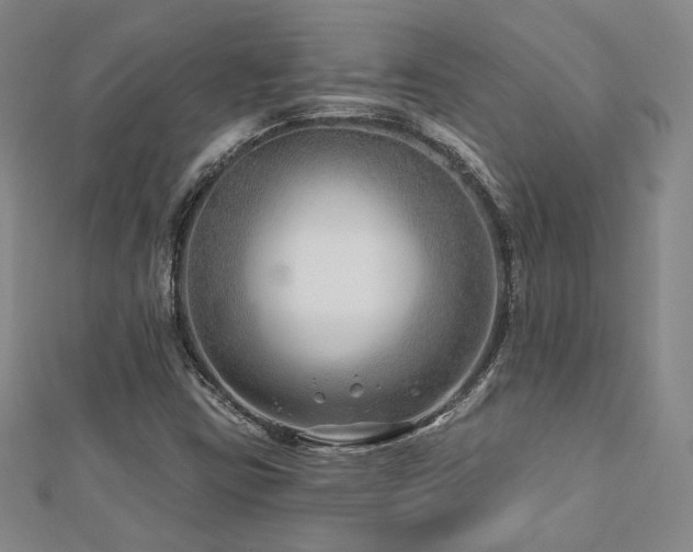 X0000112891403200908211444