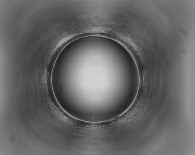 X0000112891404200908211444