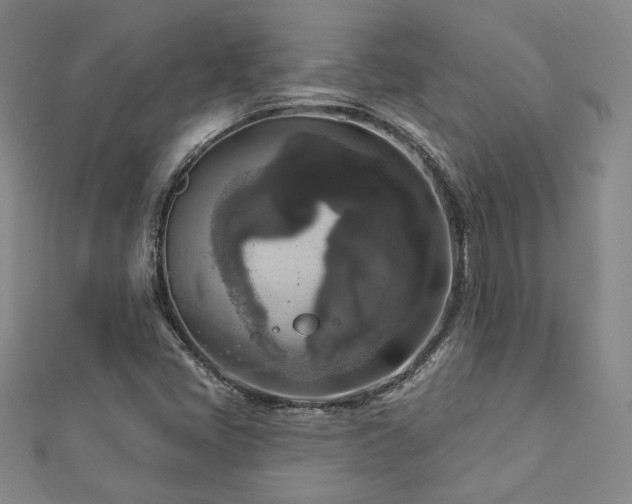 X0000112891405200908211444